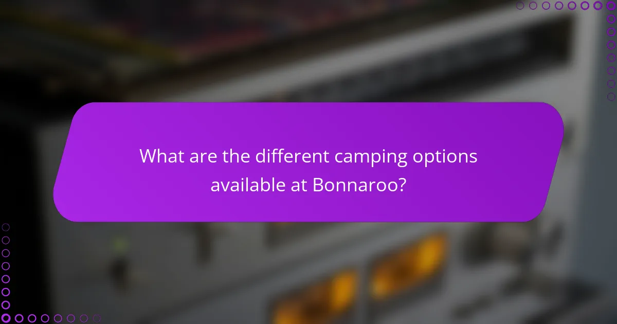 What are the different camping options available at Bonnaroo?