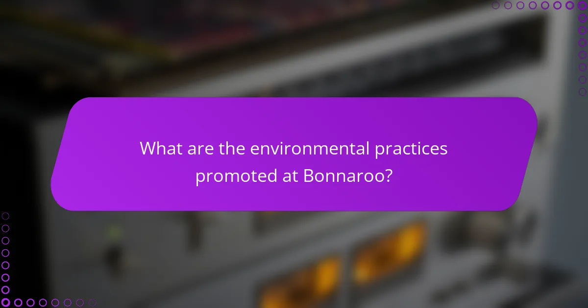 What are the environmental practices promoted at Bonnaroo?
