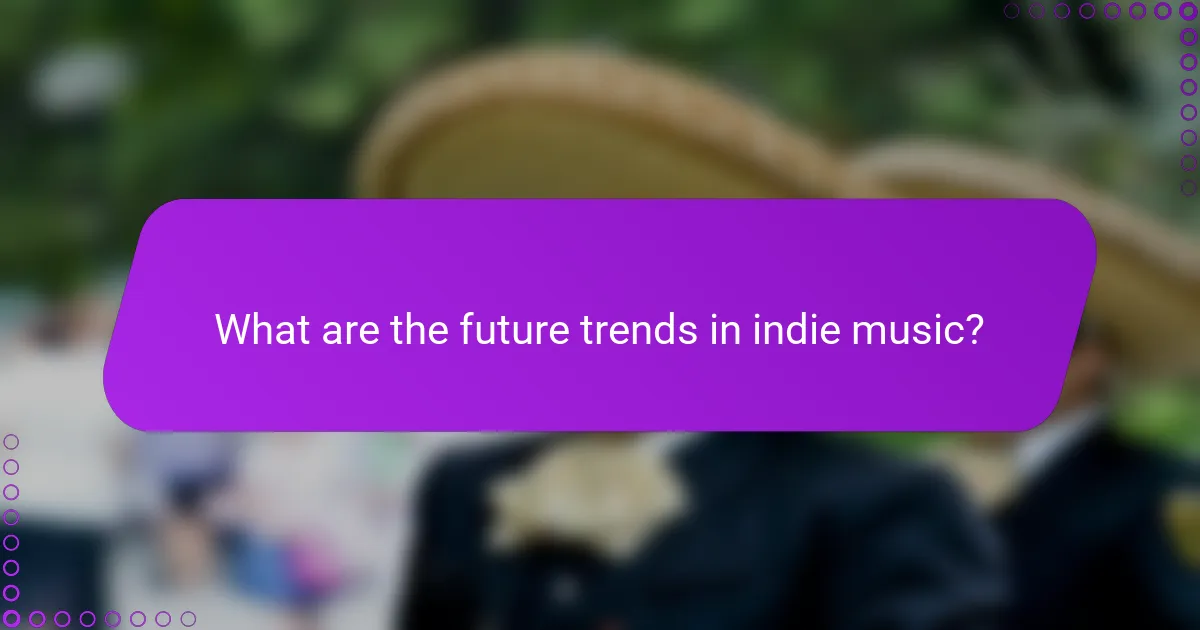 What are the future trends in indie music?