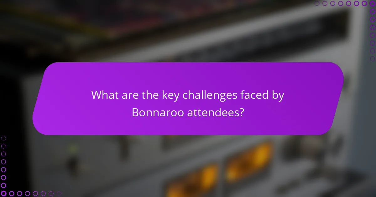 What are the key challenges faced by Bonnaroo attendees?