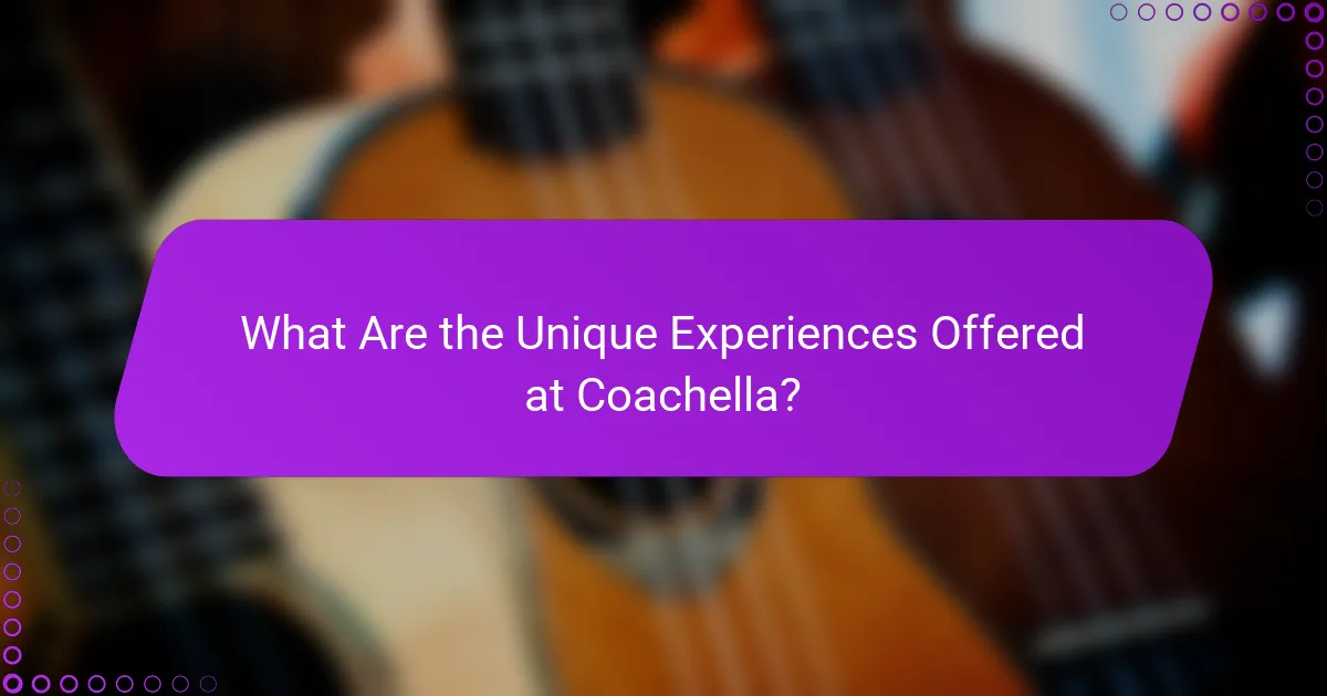 What Are the Unique Experiences Offered at Coachella?