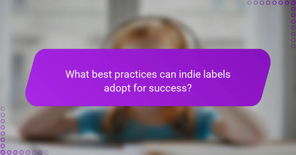 What best practices can indie labels adopt for success?