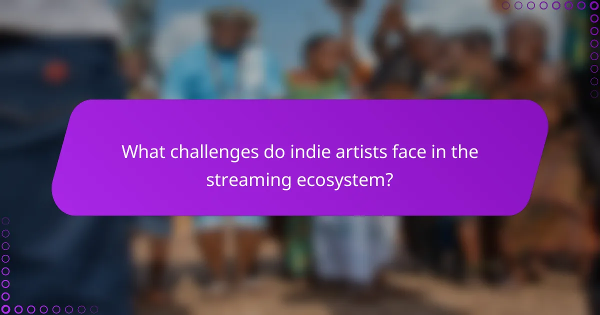 What challenges do indie artists face in the streaming ecosystem?