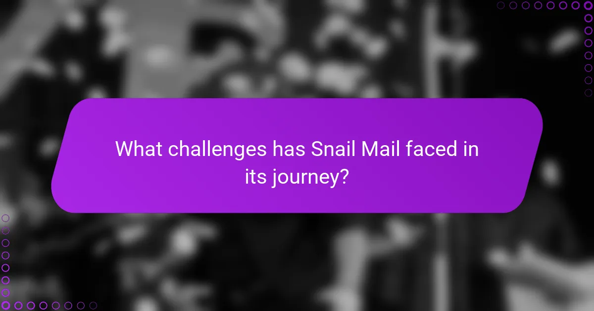 What challenges has Snail Mail faced in its journey?
