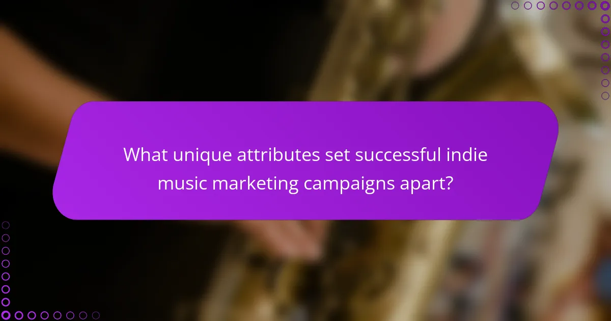 What unique attributes set successful indie music marketing campaigns apart?