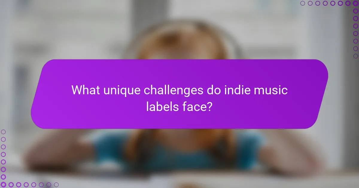 What unique challenges do indie music labels face?
